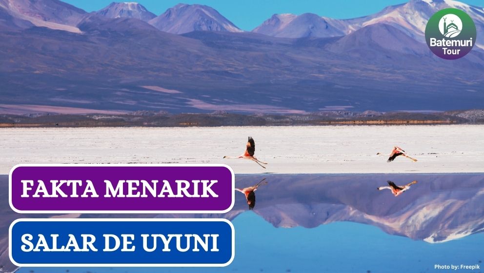 Ini Dia 8 Fakta Menarik Salar de Uyuni, Dataran Garam Terluas Dunia